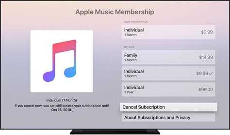 How Much is Apple Music a Year: Cost and Value Discussions