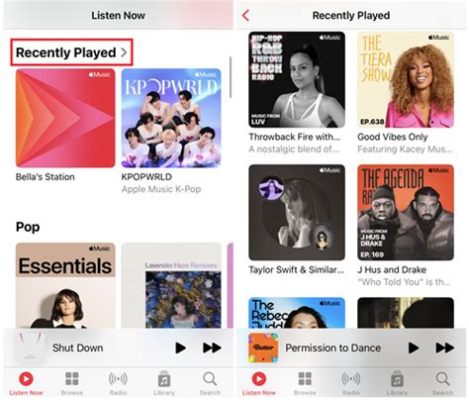 How to See Recently Played on Apple Music: A Deep Dive into the User Experience