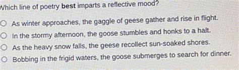 Which Line of Poetry Best Imparts a Reflective Mood? A Delve into the Depths of Verbal Expression